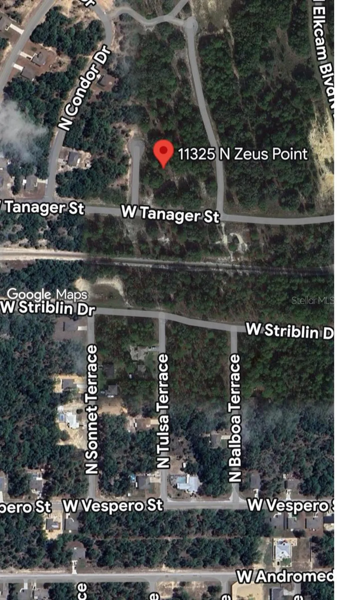 11325 N Zeus Point Dunnellon FL 34433