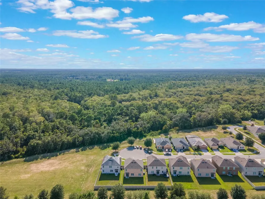 210 Lazy Willow Drive Davenport FL 33897