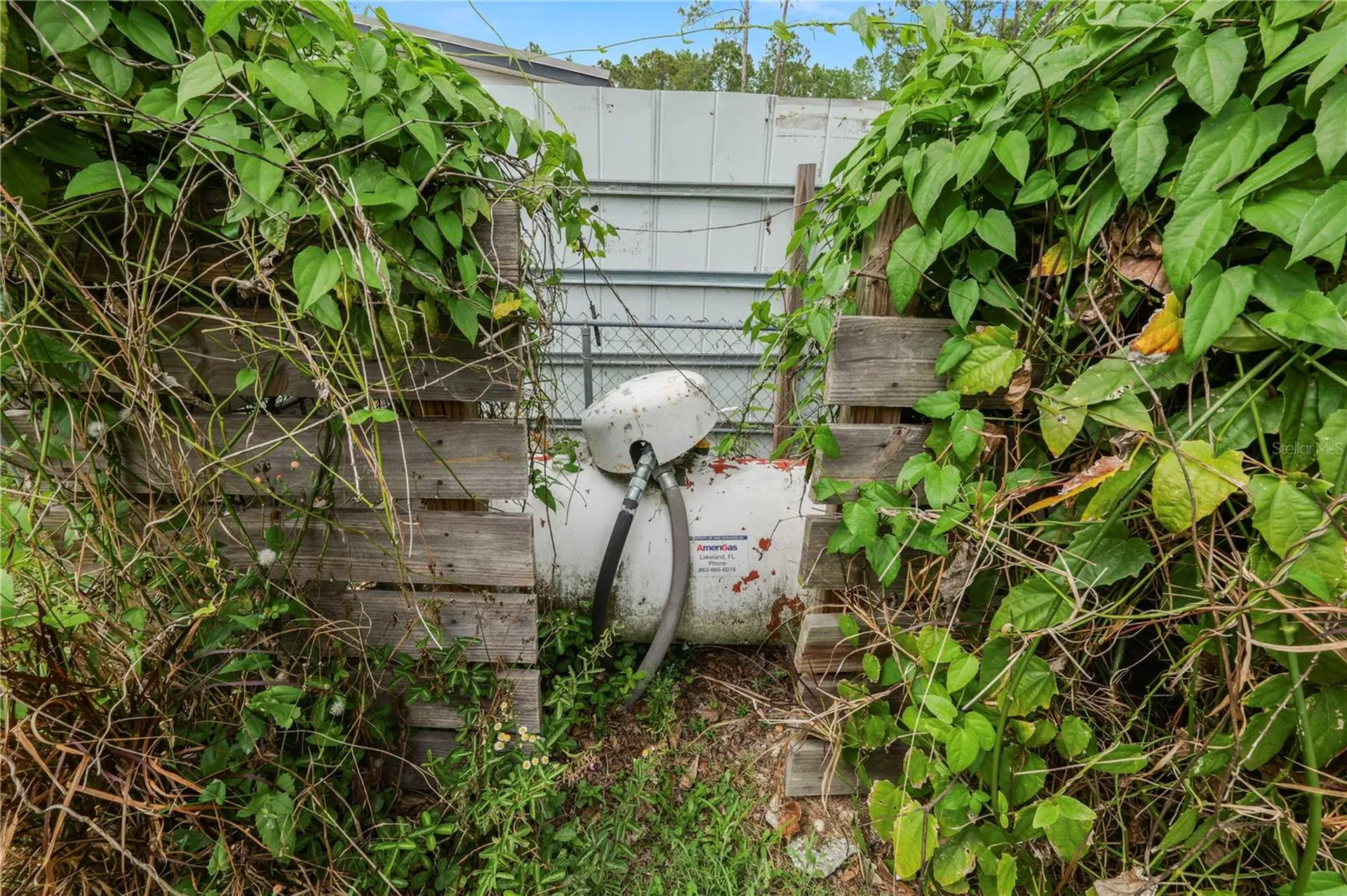 18231 Commonwealth Avenue N Polk City FL 33868