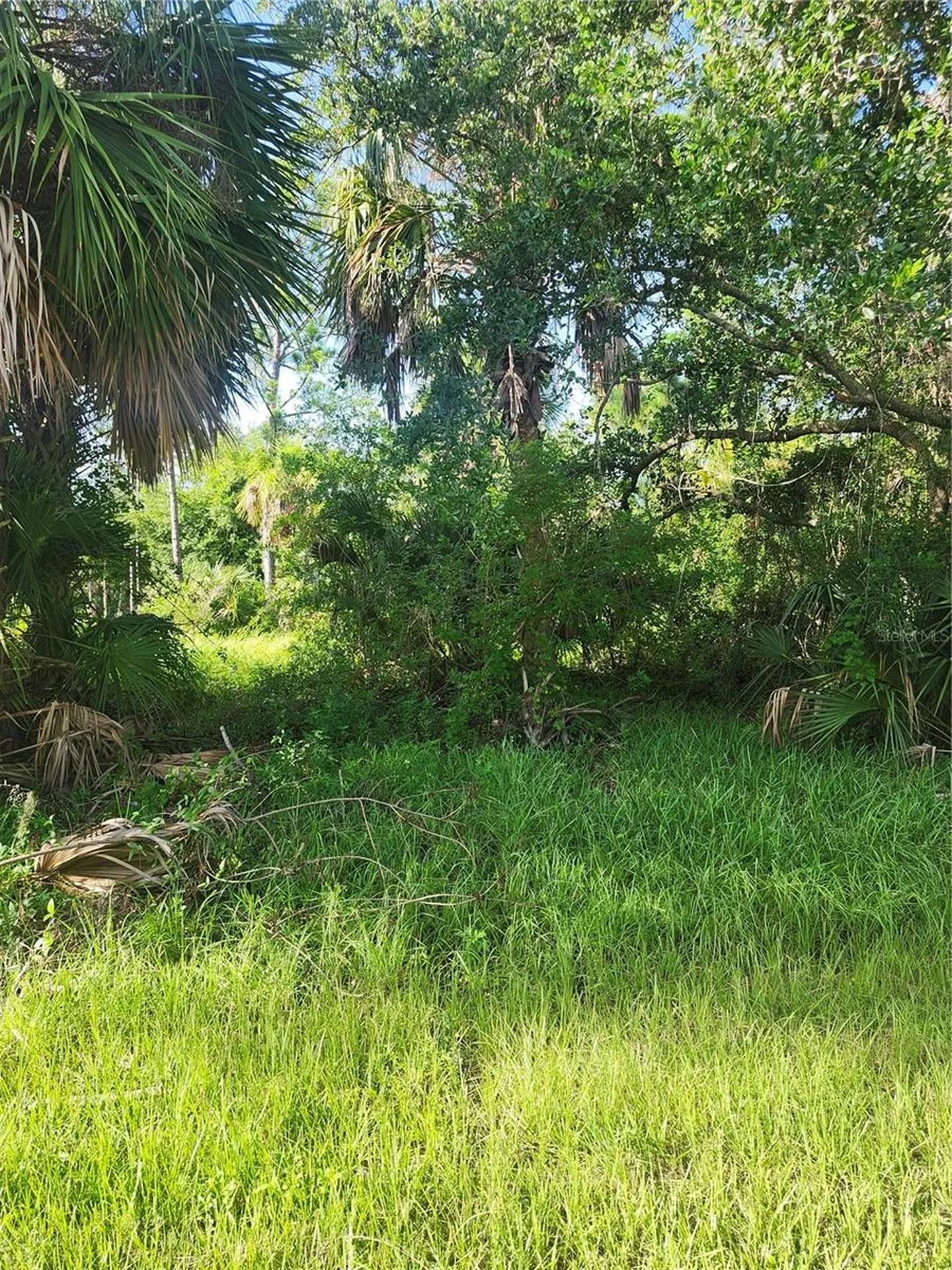 18185 Poston Avenue Port Charlotte FL 33948