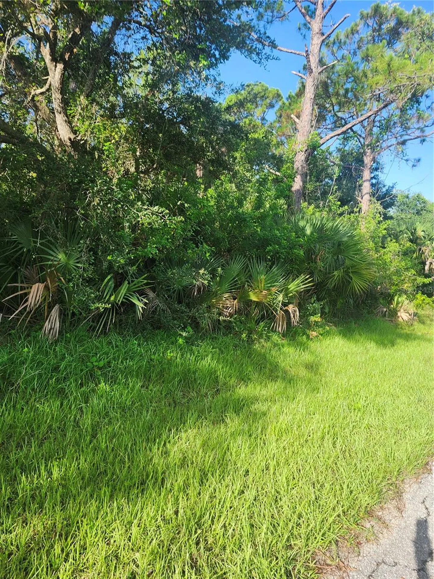 18185 Poston Avenue Port Charlotte FL 33948