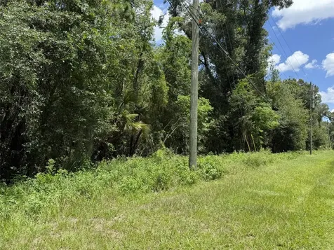 No Street Lake Helen FL 32744