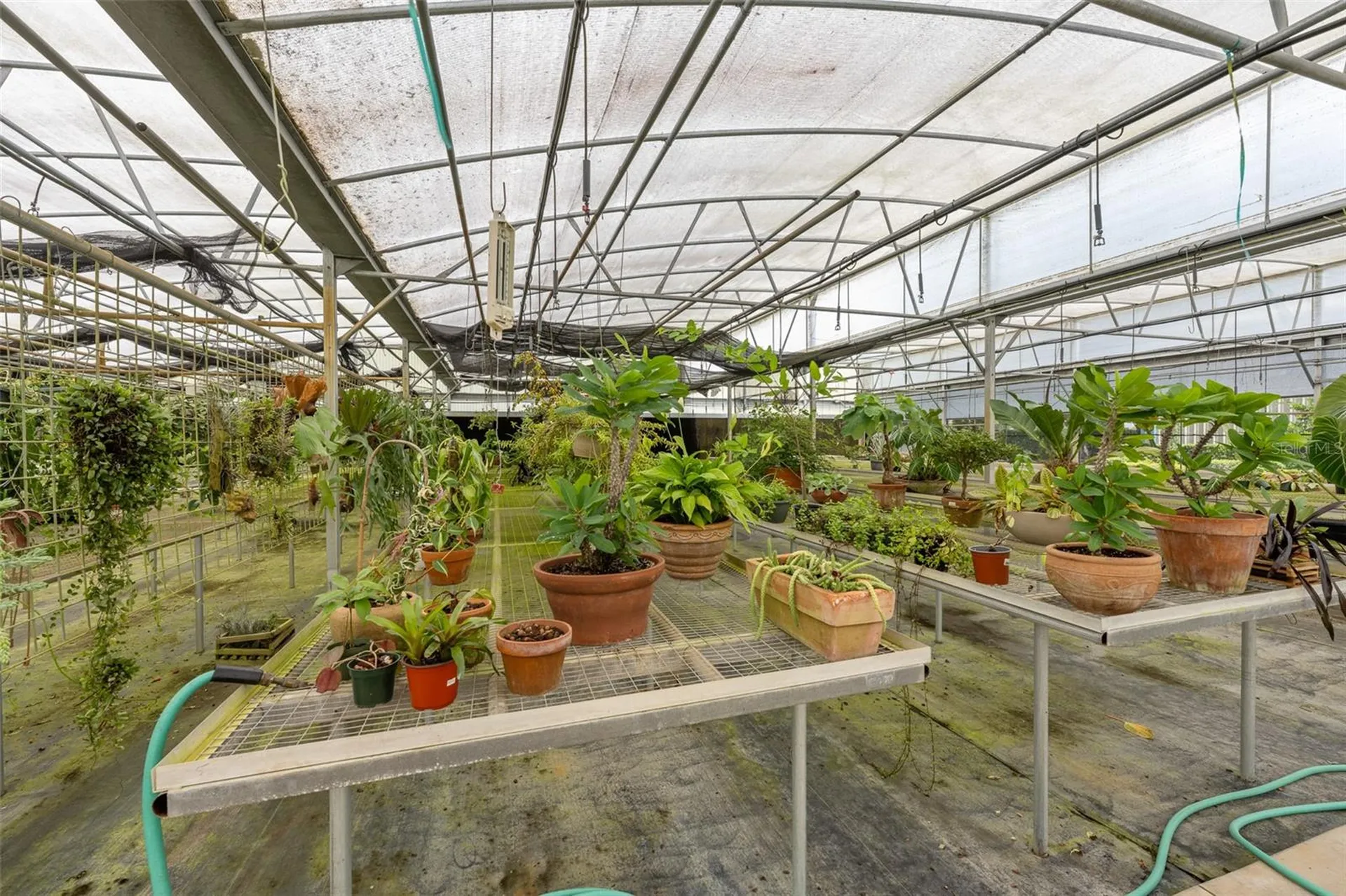 11901 Fort King Highway Thonotosassa FL 33592