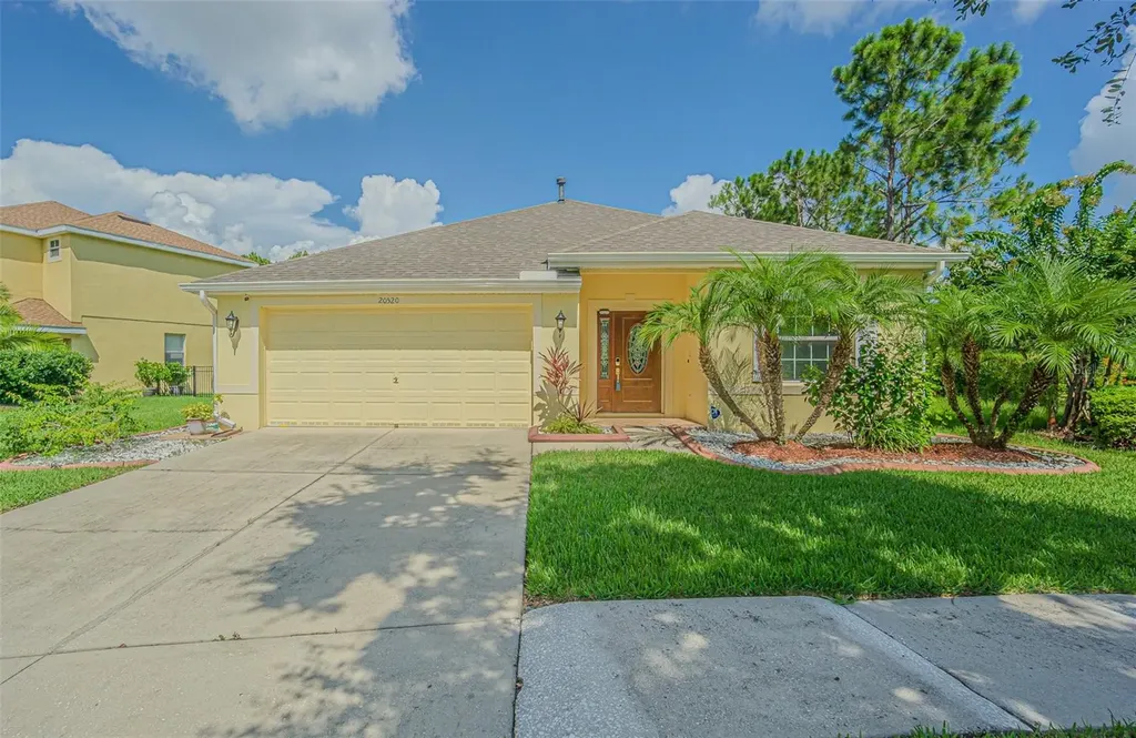 20520 Sultana Court Tampa FL 33647