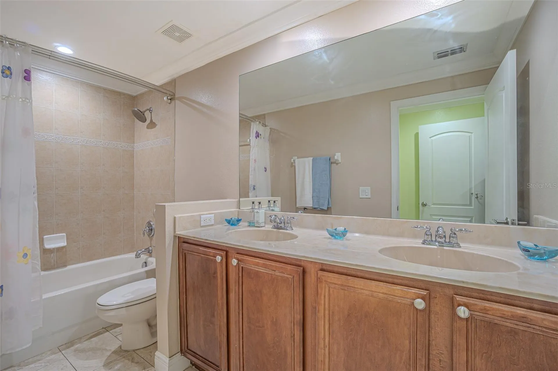 20520 Sultana Court Tampa FL 33647