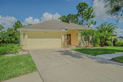 20520 Sultana Court Tampa FL 33647