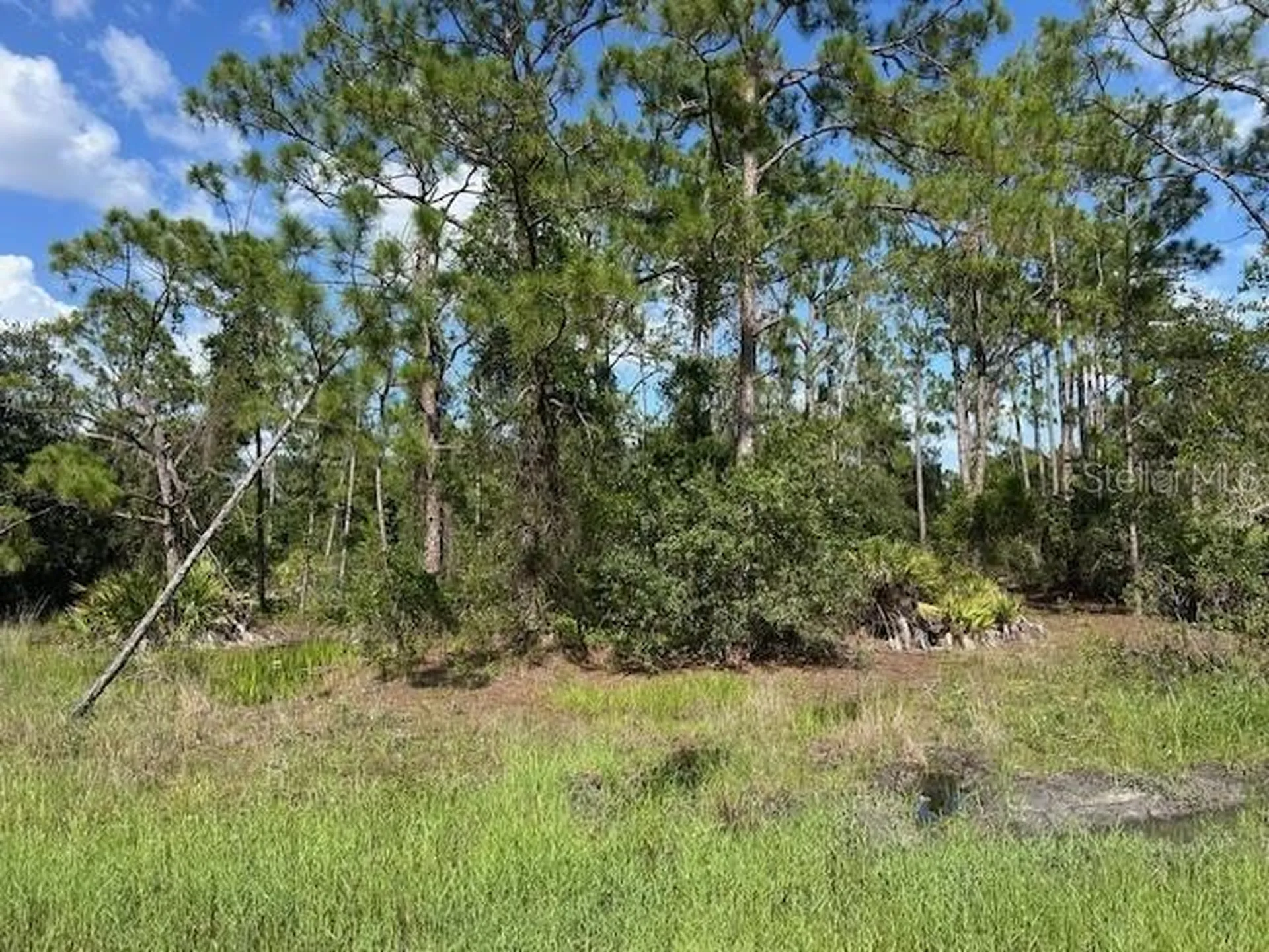 13042 Apache Drive Punta Gorda FL 33955