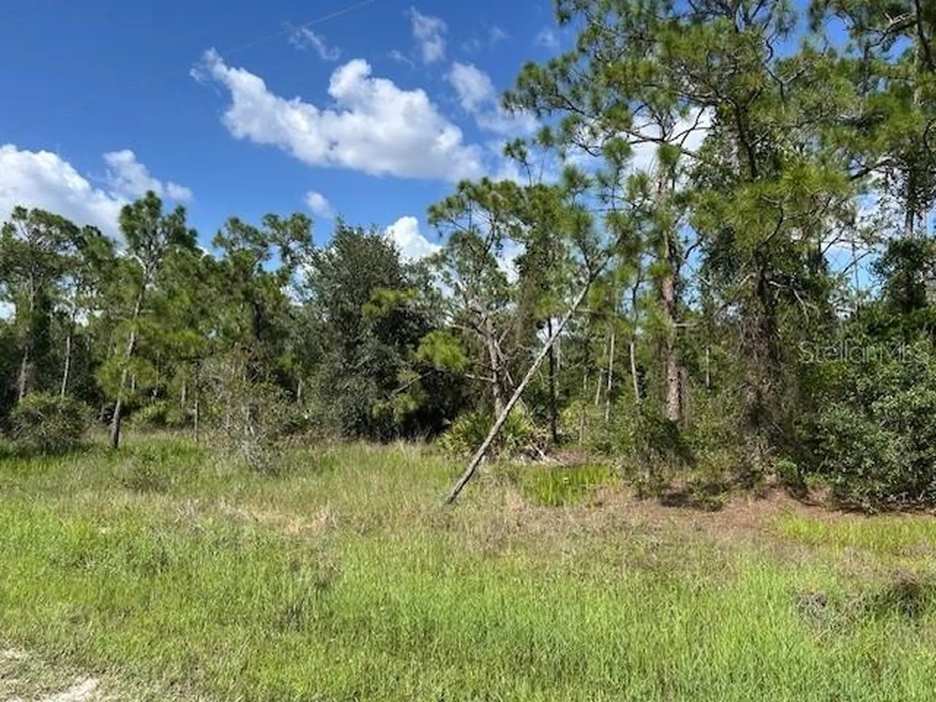 13042 Apache Drive Punta Gorda FL 33955