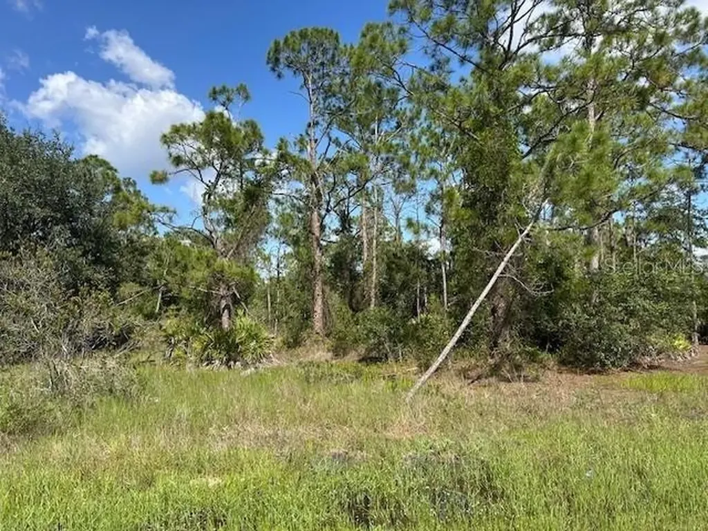 13036 Apache Drive Punta Gorda FL 33955
