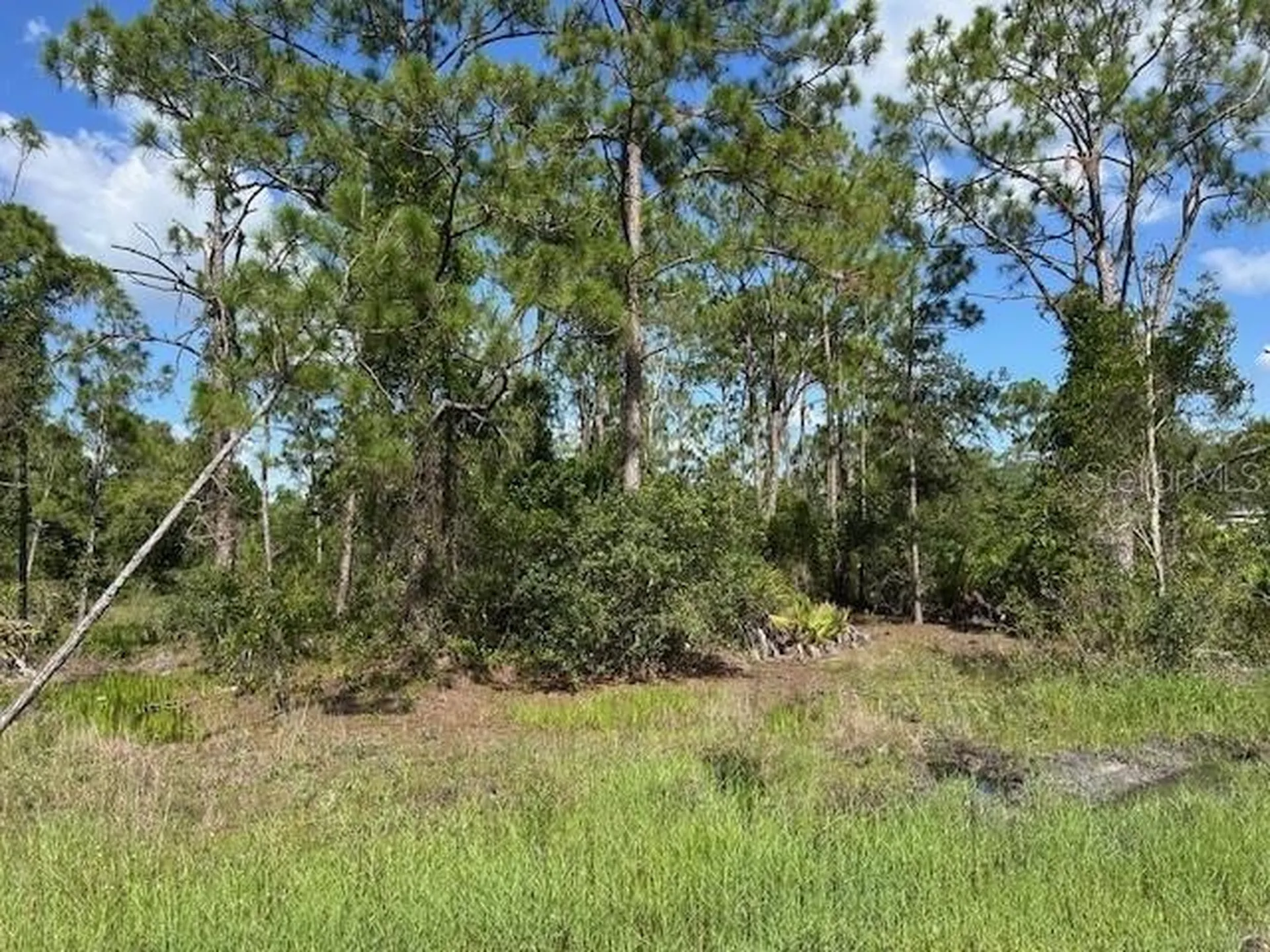 13036 Apache Drive Punta Gorda FL 33955