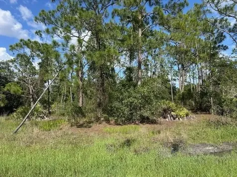 13036 Apache Drive Punta Gorda FL 33955