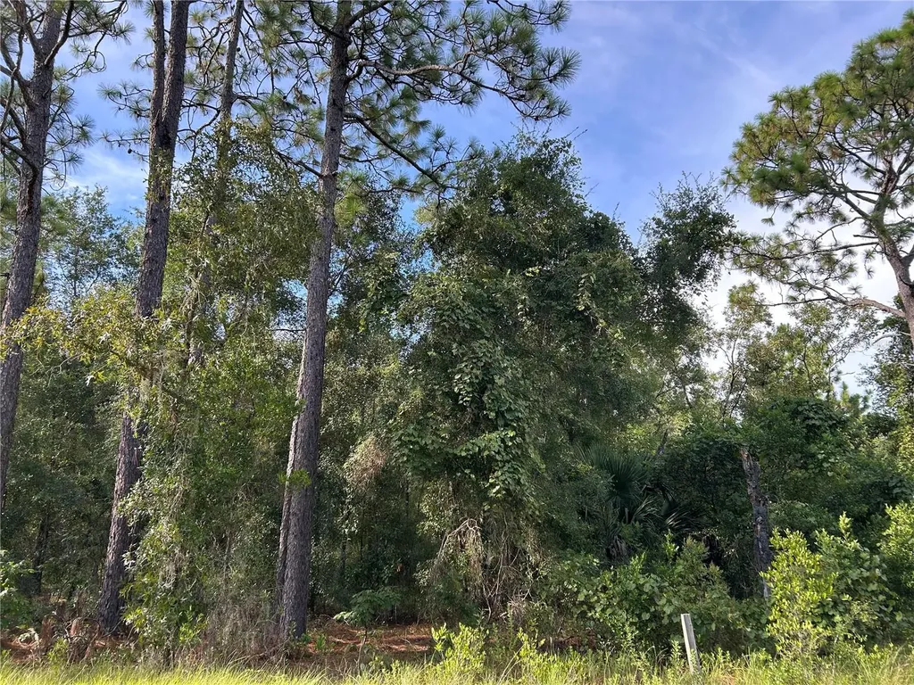 Tbd NE 11th Place Williston FL 32696
