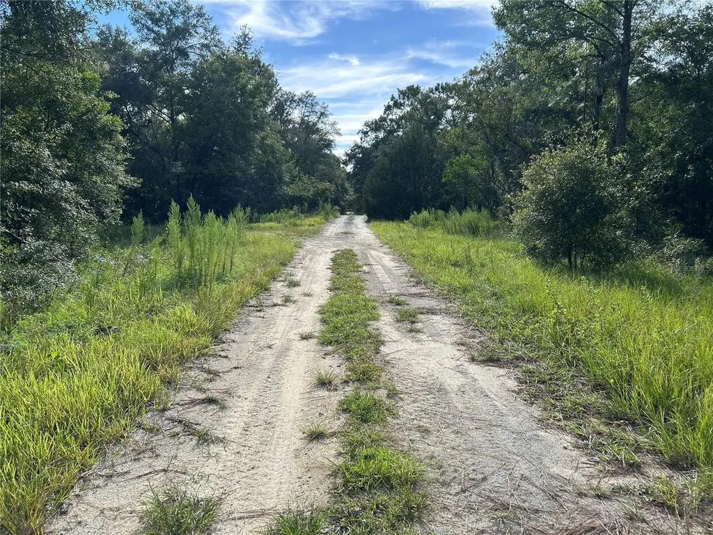 Tbd NE 11th Place Williston FL 32696
