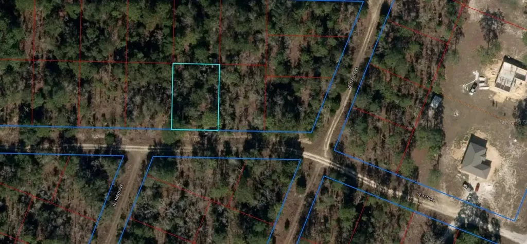 Tbd NE 11th Place Williston FL 32696