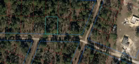 Tbd NE 11th Place Williston FL 32696