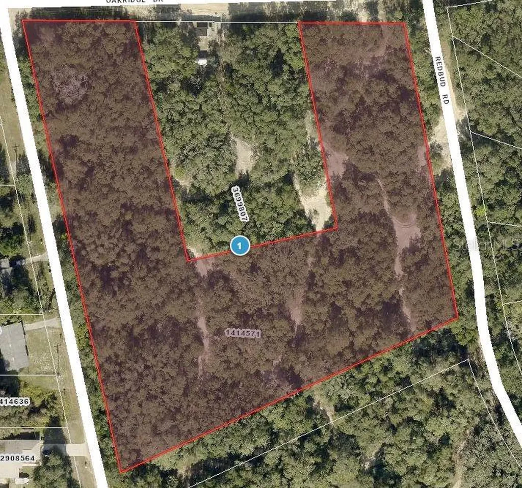 Tbd Magnolia Street Lady Lake FL 32159