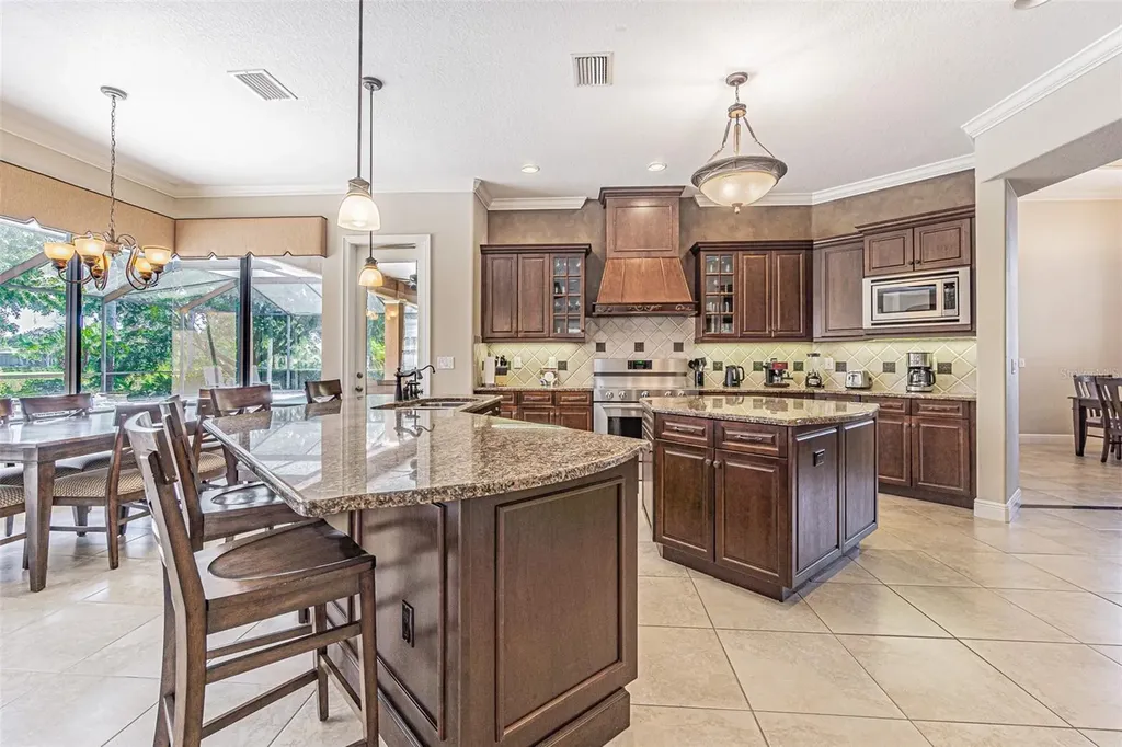 20411 Lace Cascade Road Land O Lakes FL 34637