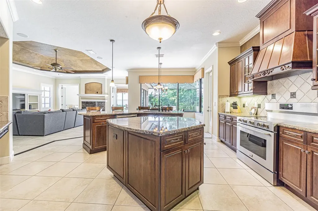 20411 Lace Cascade Road Land O Lakes FL 34637