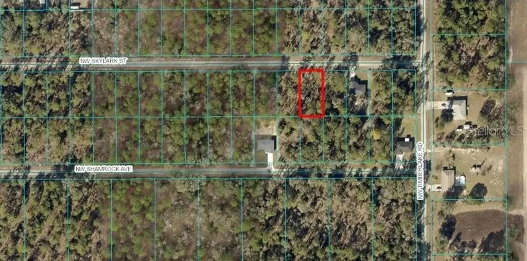 Tba NW Skylark Street Dunnellon FL 34431