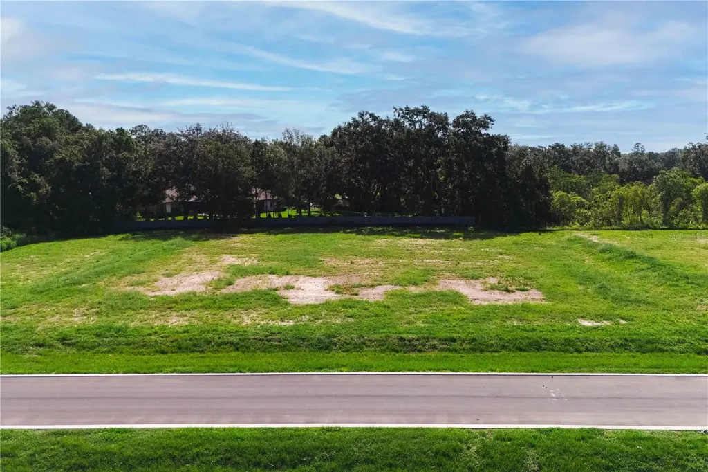 19319 Dimple Drive Odessa FL 33556