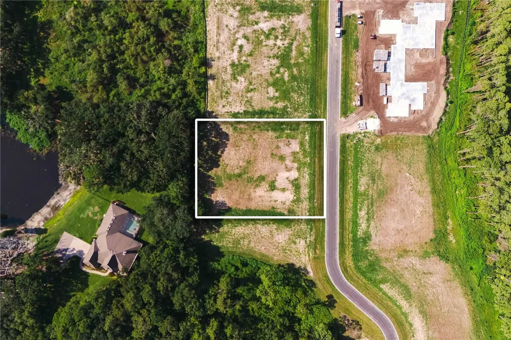 19319 Dimple Drive Odessa FL 33556