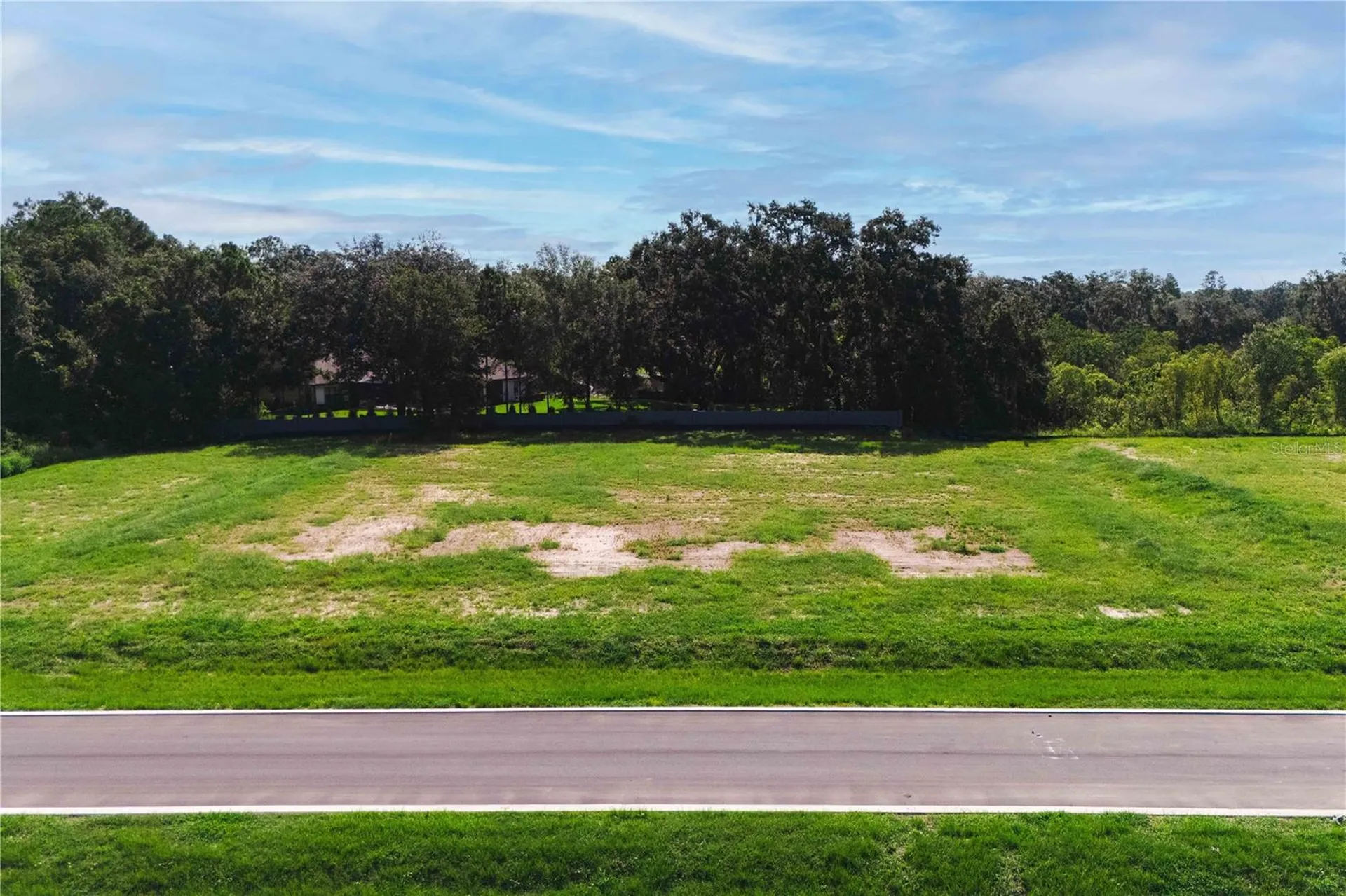 19319 Dimple Drive Odessa FL 33556