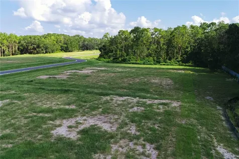 19319 Dimple Drive Odessa FL 33556