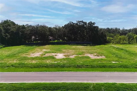 19319 Dimple Drive Odessa FL 33556