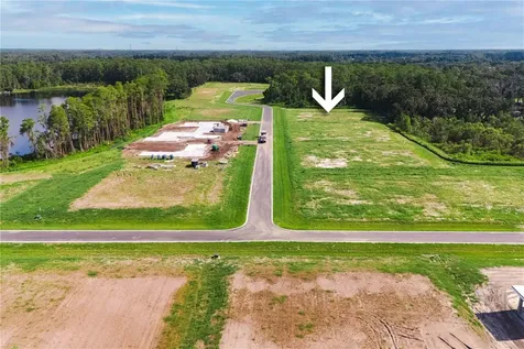 19319 Dimple Drive Odessa FL 33556