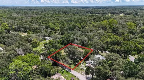 35328 Reynolds Street Dade City FL 33523