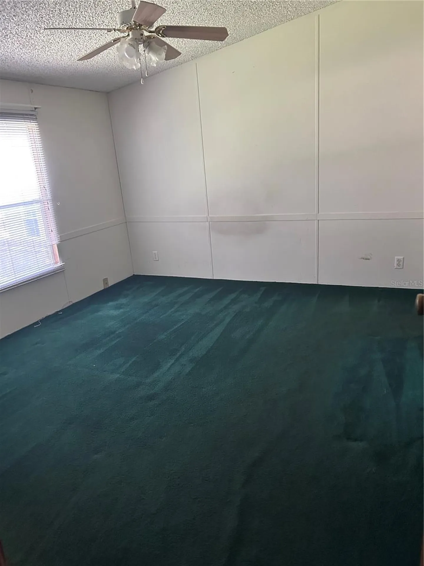 8286 S Vine Terrace Floral City FL 34436