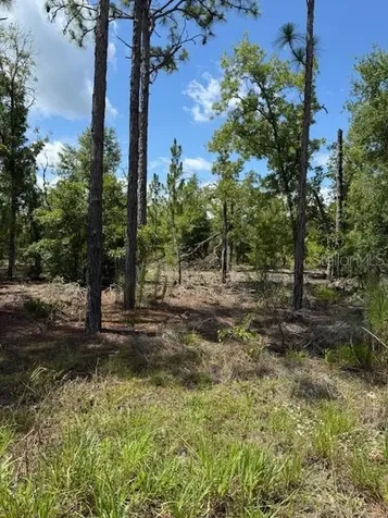115 S Dakota Street Hawthorne FL 32640