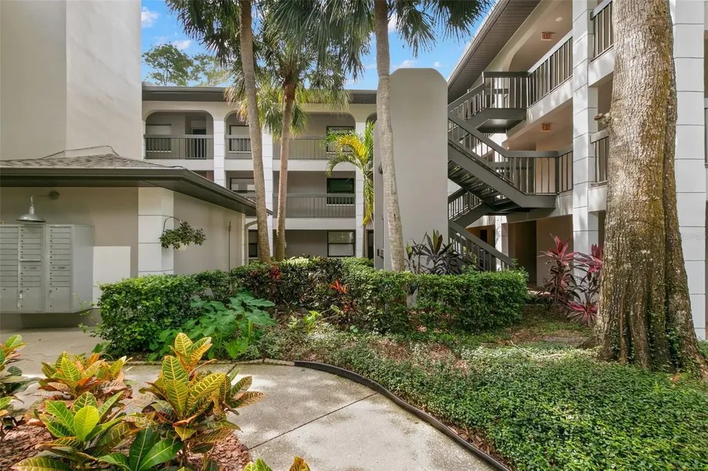 3399 Mermoor Drive Palm Harbor FL 34685