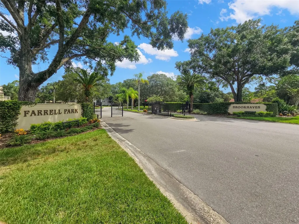 3399 Mermoor Drive Palm Harbor FL 34685