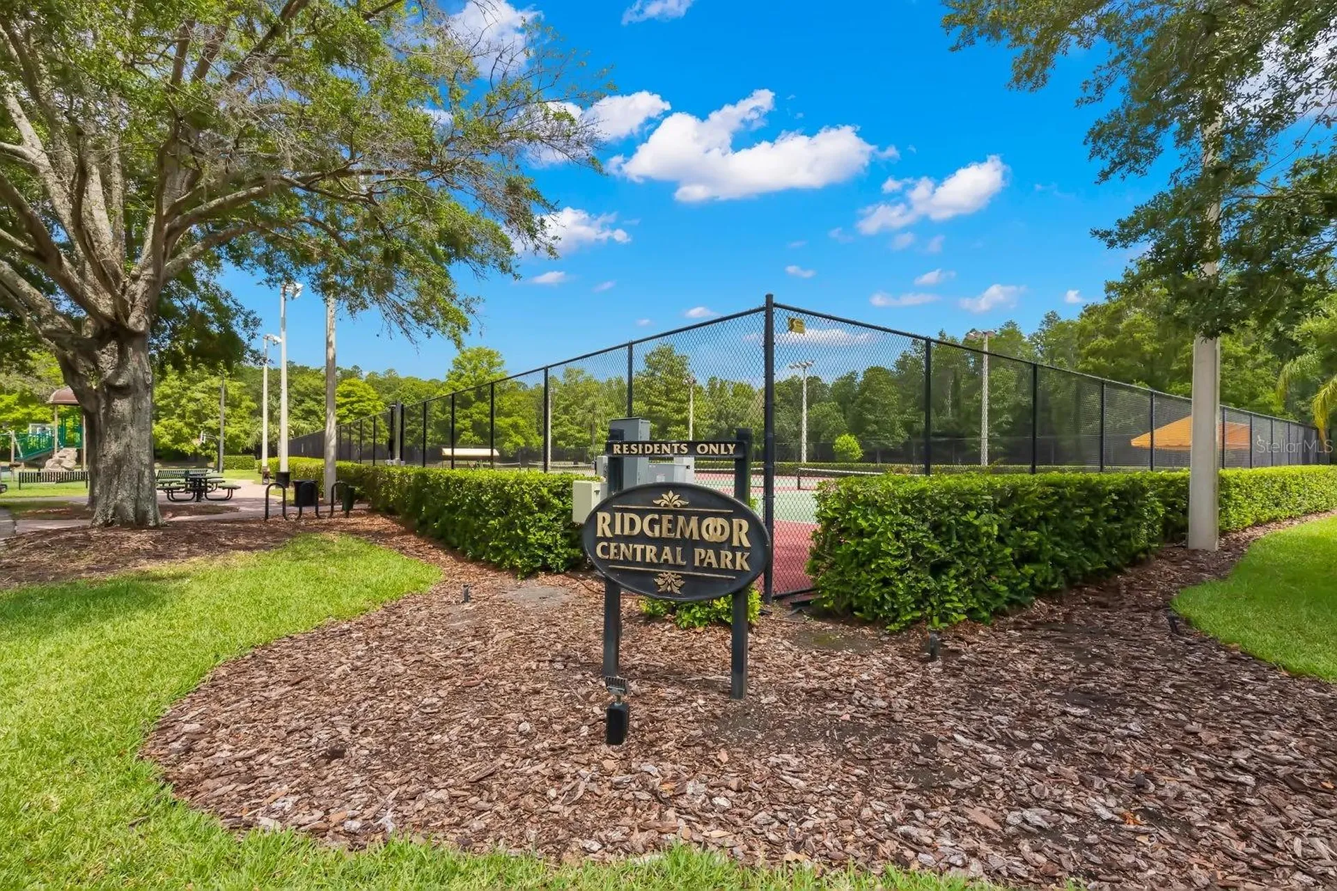 3399 Mermoor Drive Palm Harbor FL 34685