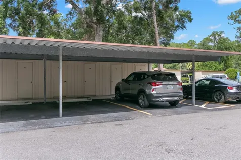 3399 Mermoor Drive Palm Harbor FL 34685