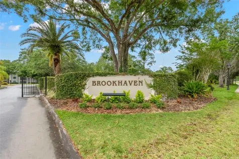 3399 Mermoor Drive Palm Harbor FL 34685