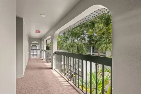 3399 Mermoor Drive Palm Harbor FL 34685