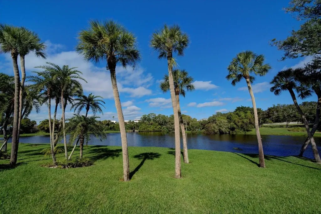 220 Belleview Boulevard Belleair FL 33756