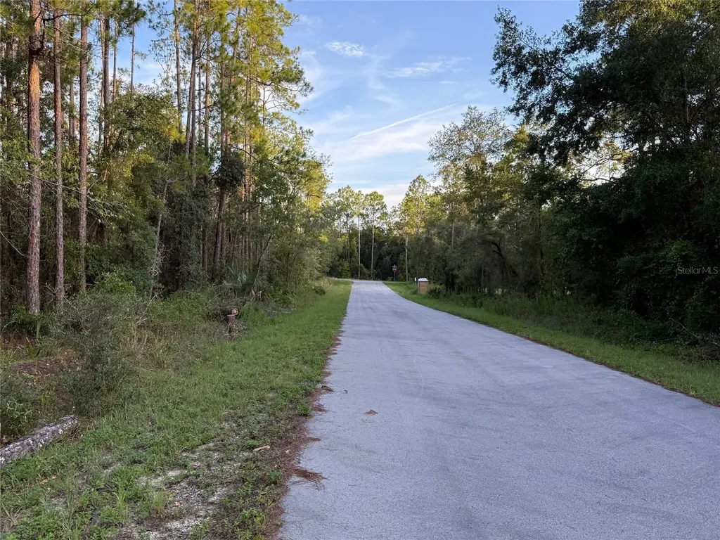 Tbd SW South Water Court Dunnellon FL 34431