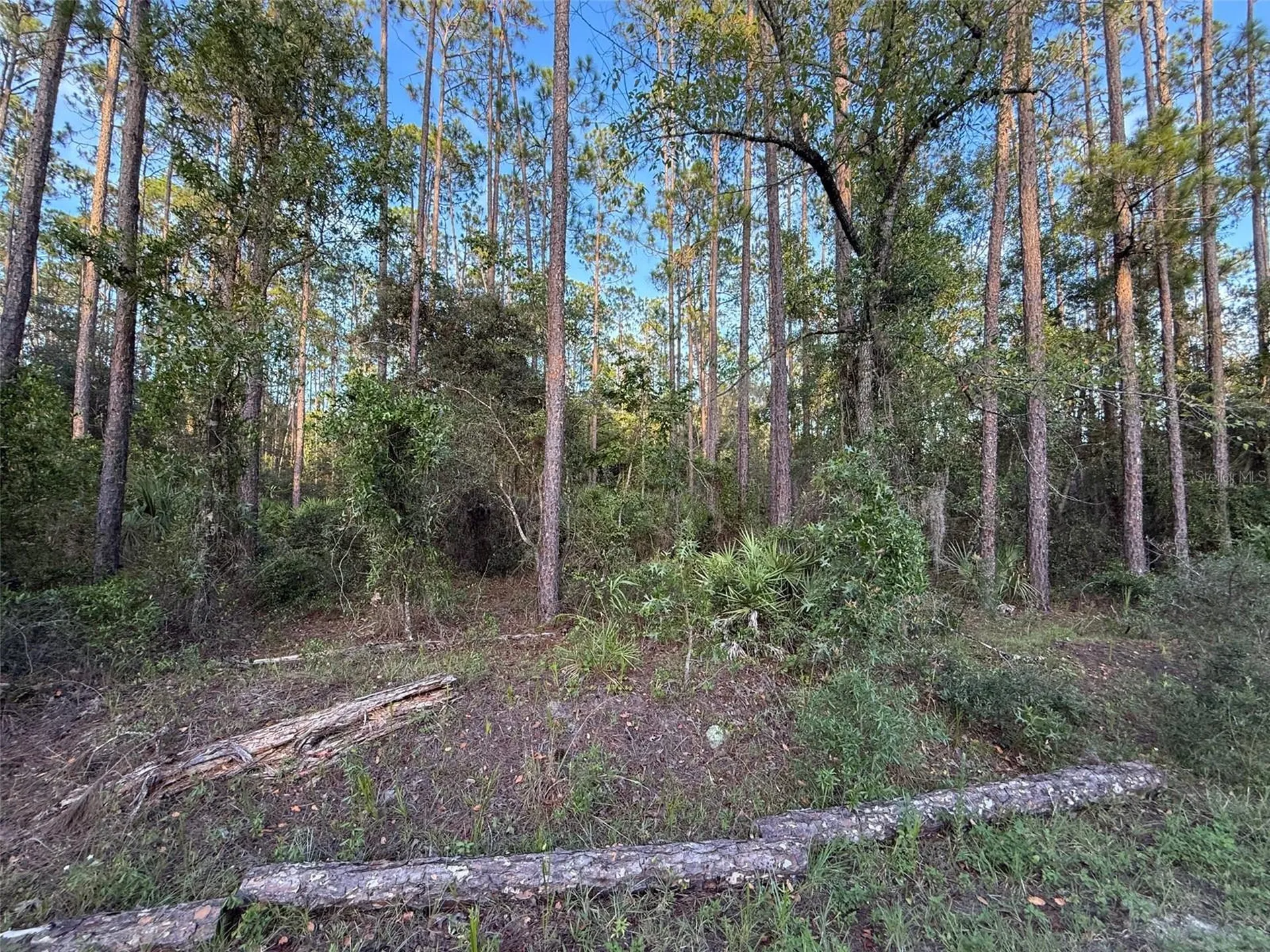 Tbd SW South Water Court Dunnellon FL 34431