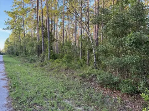 Tbd SW South Water Court Dunnellon FL 34431