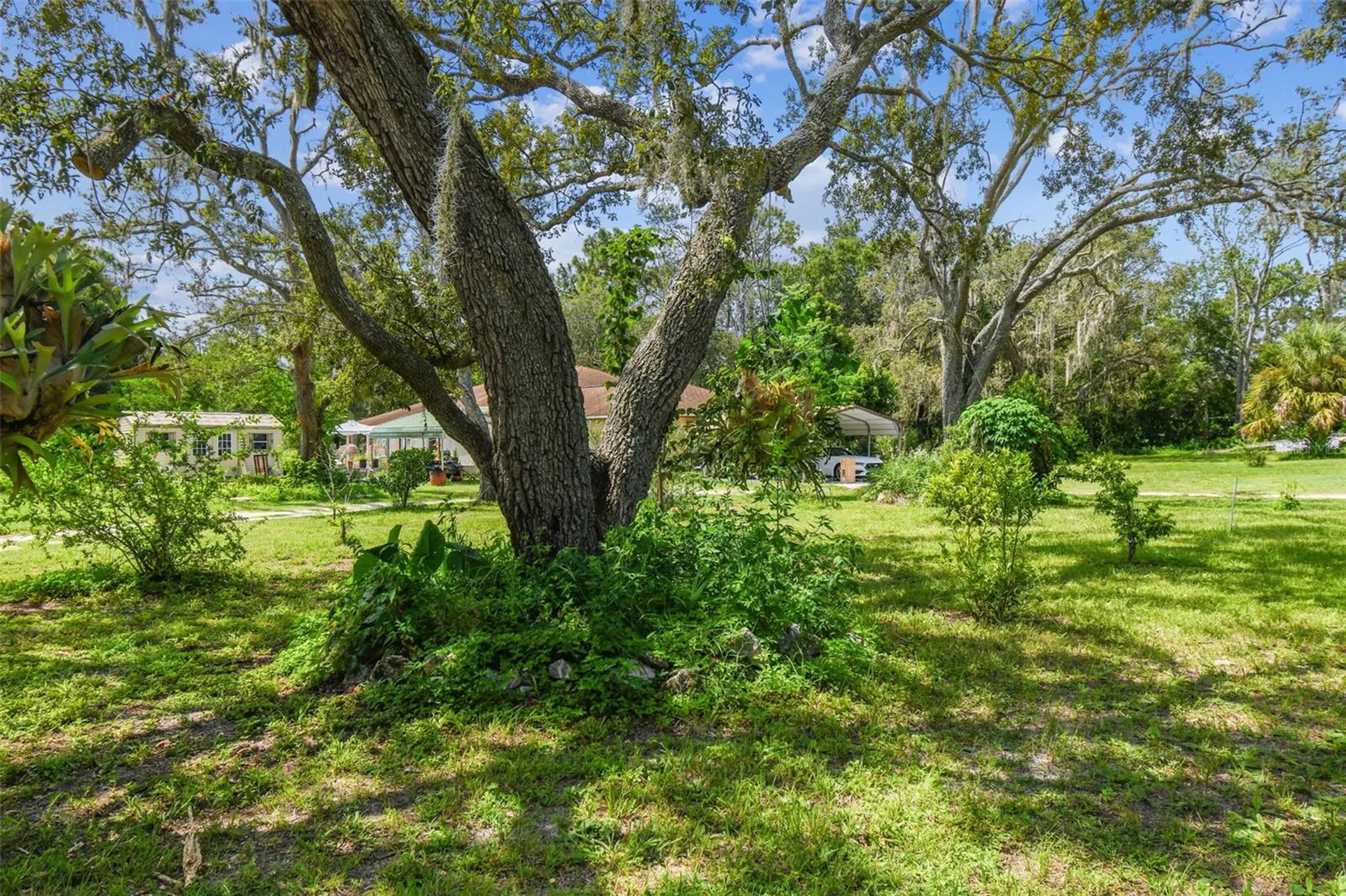12604 Choctaw Trail Hudson FL 34669