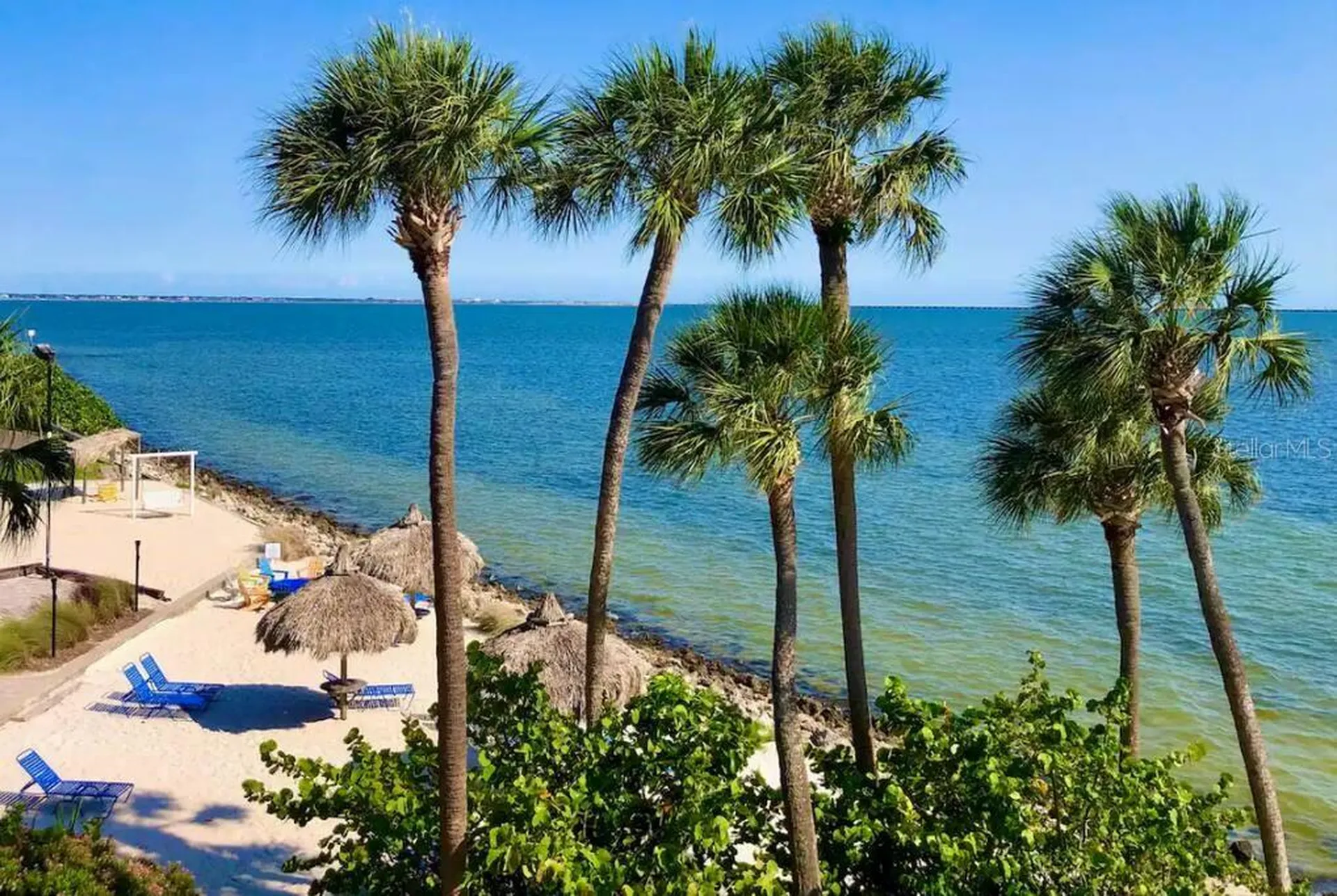 2506 N Rocky Point Drive Tampa FL 33607