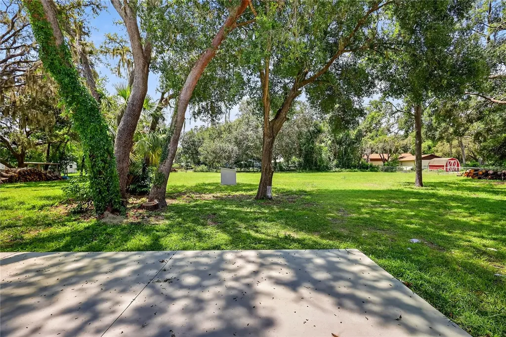 32524 Greenwood Loop Wesley Chapel FL 33545