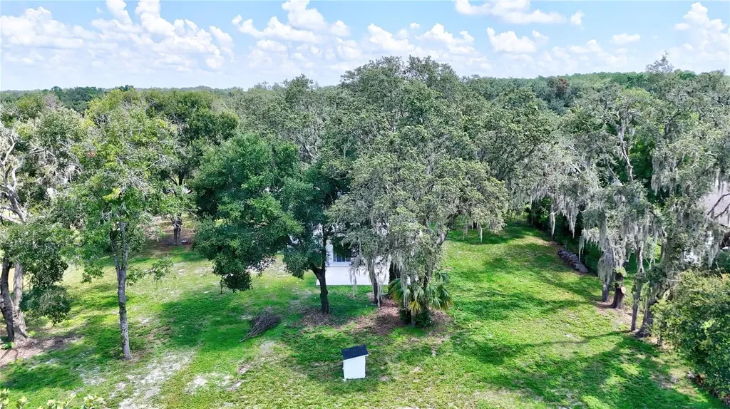 32524 Greenwood Loop Wesley Chapel FL 33545