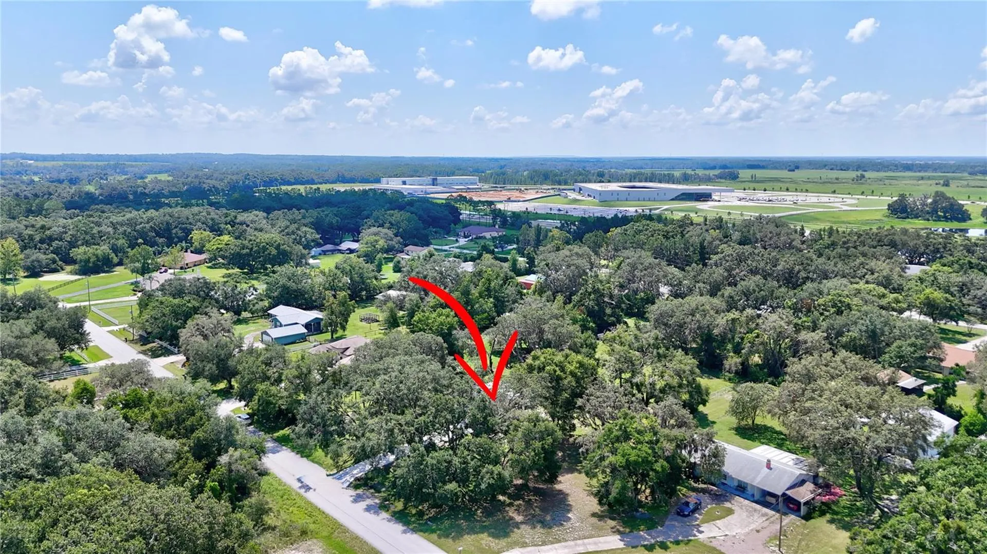 32524 Greenwood Loop Wesley Chapel FL 33545
