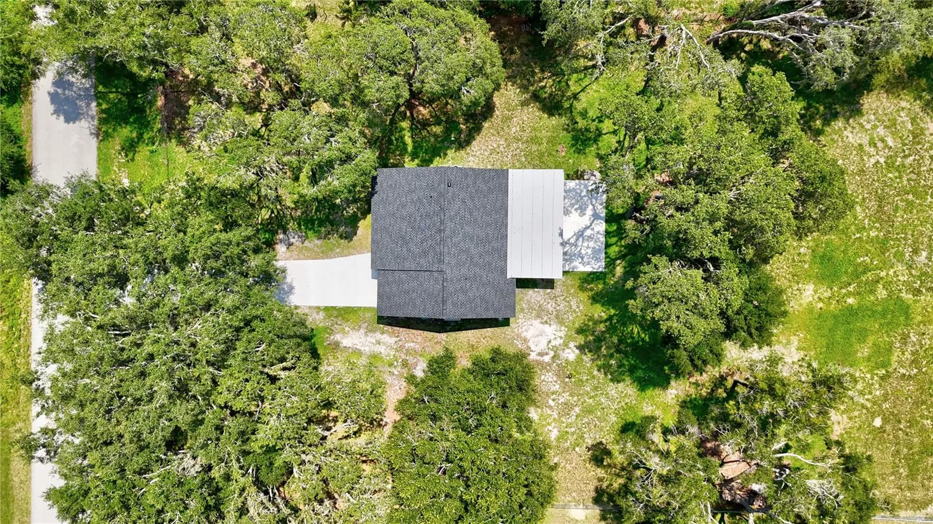 32524 Greenwood Loop Wesley Chapel FL 33545
