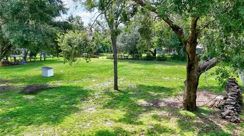 32524 Greenwood Loop Wesley Chapel FL 33545