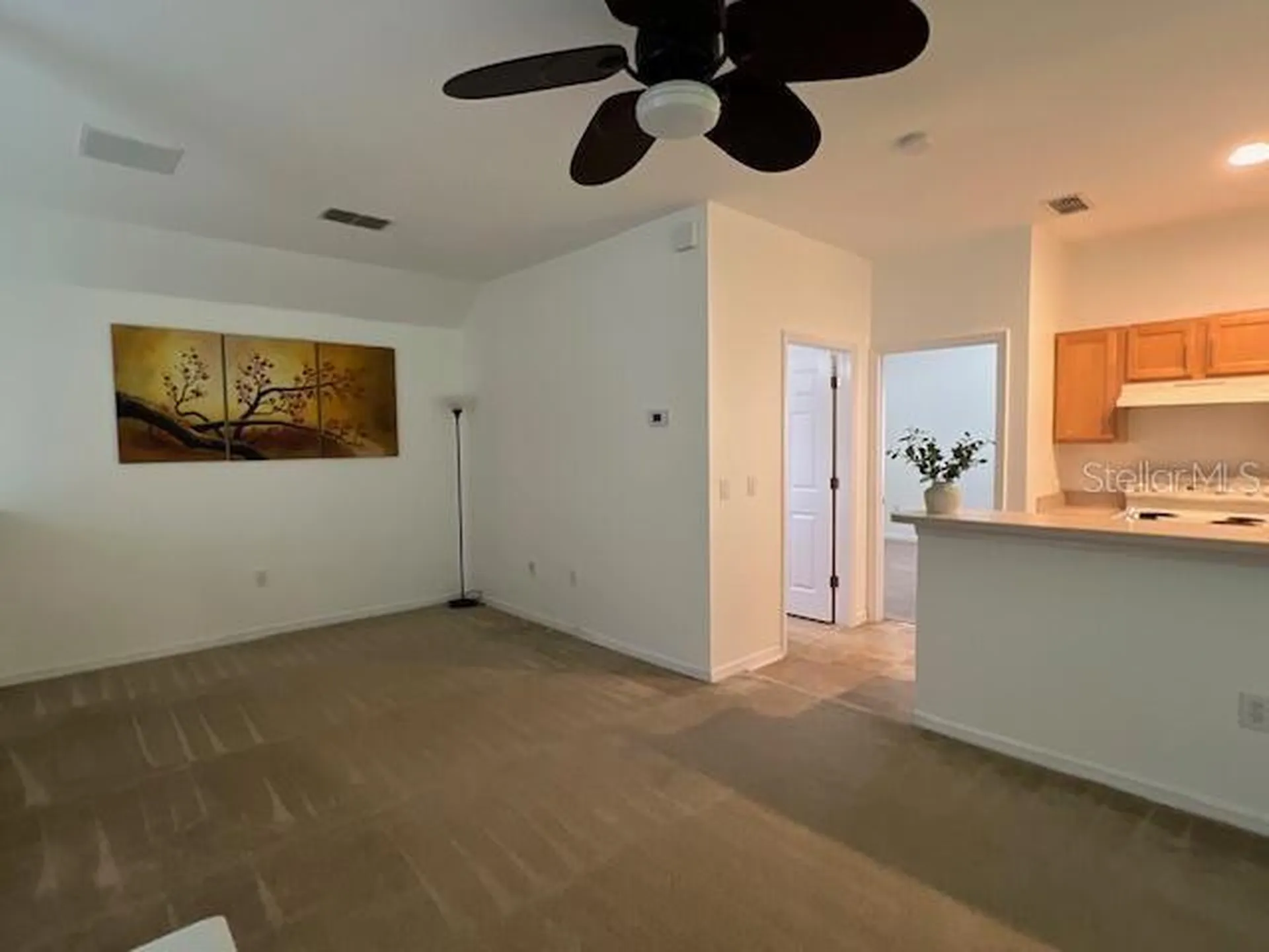 947 Spring Park Loop Kissimmee FL 34747